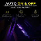 Princesa - The "Passenger Princess" Custom LED Door Sill