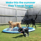 Pup Paradise™ Splash Pad