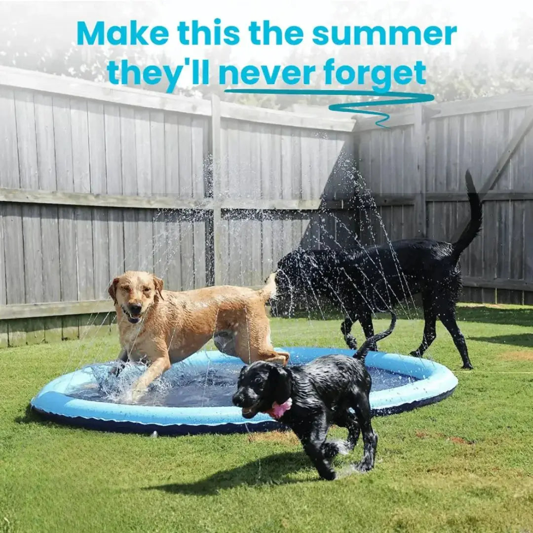 Pup Paradise™ Splash Pad