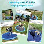 Pup Paradise™ Splash Pad